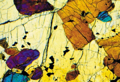 Planetary samples under microscope